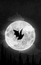Bat Cloak